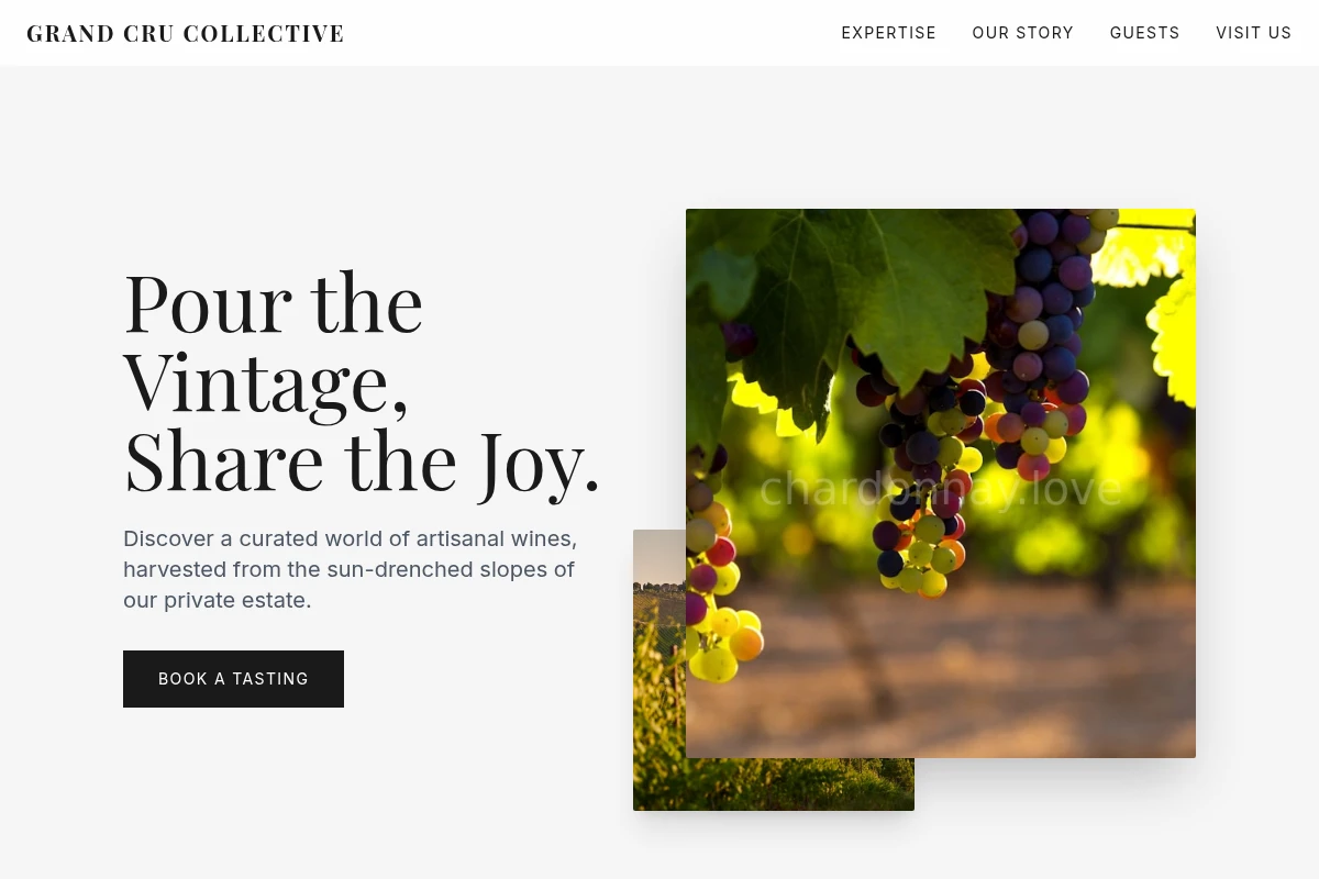 Brut Vineyard