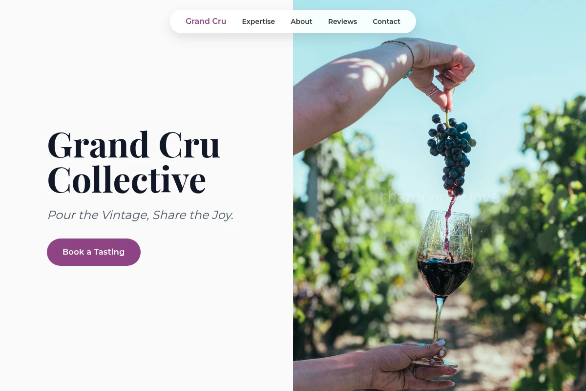 Syrah Vineyard
