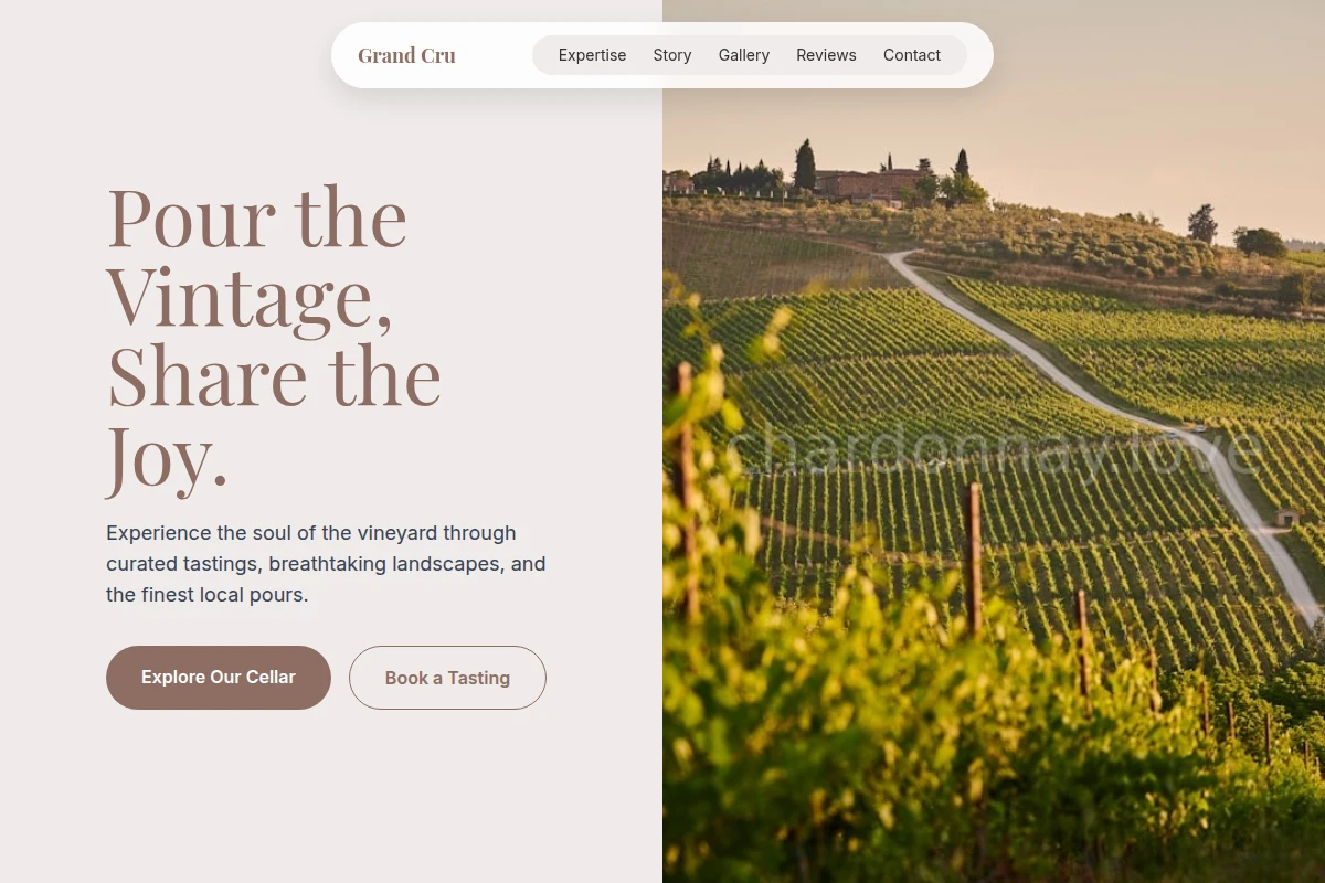 Cellar Vineyard