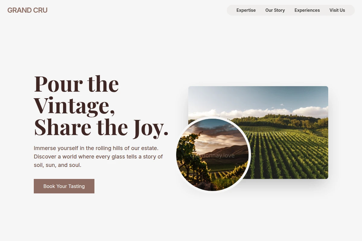 Decanter Vineyard