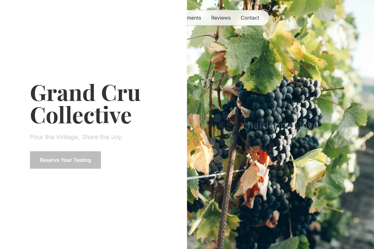 Chardonnay Vineyard